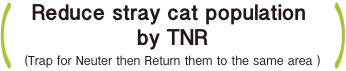 Decrease (TNR work)